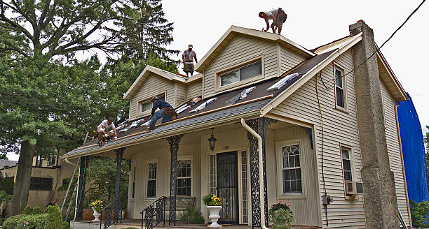 Best Storm Damage Roof Repair  in Paris, KY