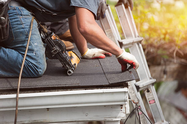 Best New Roof Installation  in Paris, KY